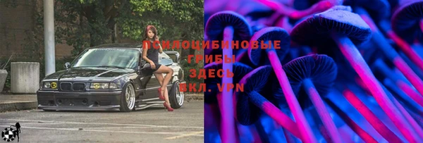 apvp Михайлов