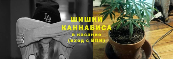 спиды Михайловка