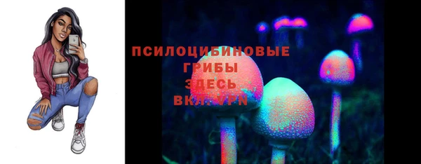 apvp Михайлов