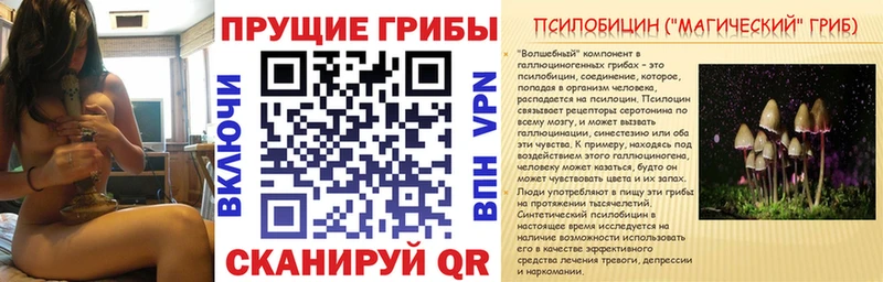Галлюциногенные грибы мицелий Рассказово