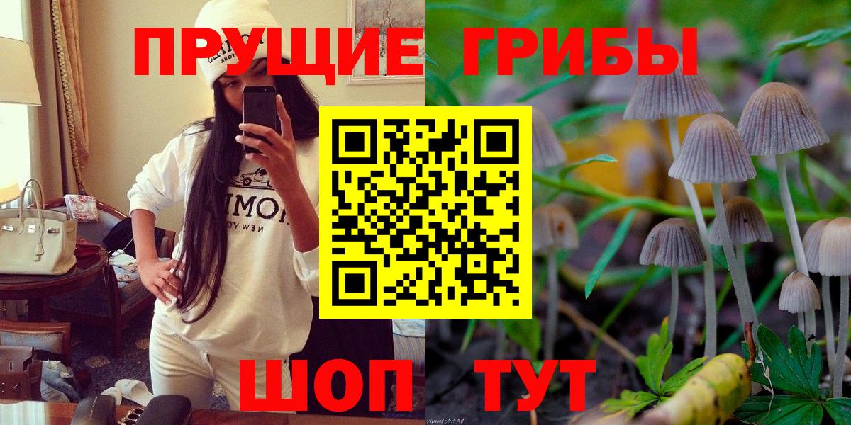 Псилоцибиновые грибы Magic Shrooms  хочу наркоту  Рассказово 