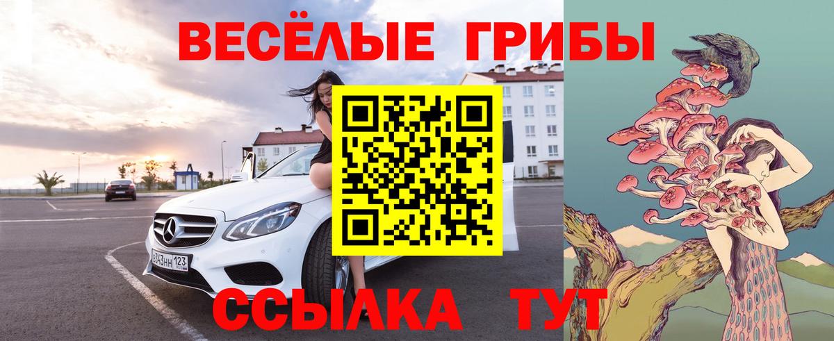 Галлюциногенные грибы ЛСД Рассказово